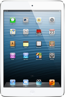 
    Apple iPad mini Wi-Fi + 4G 64GB
  